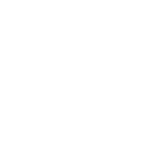 javascript-white